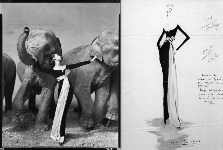 Avedon's Dovima with Elephants and YSL sketch for Dior, 1955